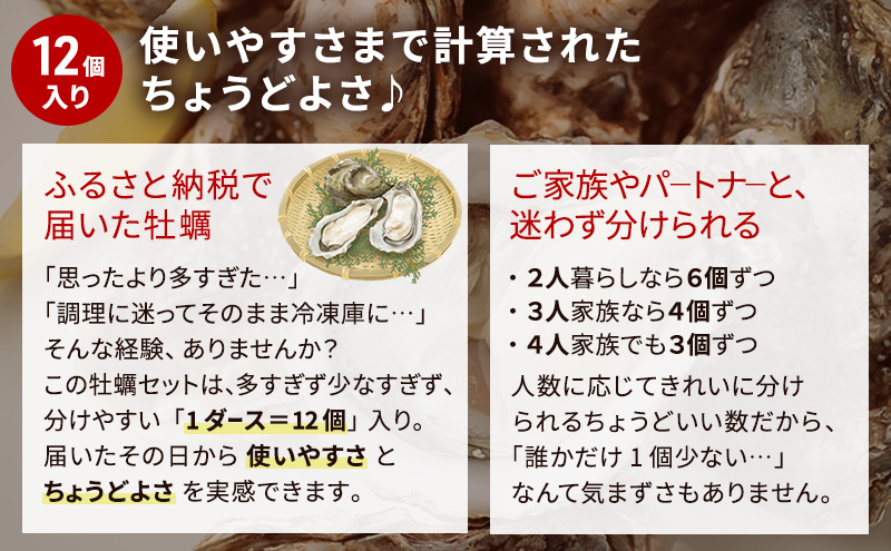【 3ヵ月 定期便 】 北海道厚岸産 生食用 殻付カキ 3Lサイズ  12個　マルえもん 魚貝類 海の幸 海のミルク 海鮮 国産 北海道産 オイスター つまみ お酒 あて 肴 生牡蠣 メルマガ掲載商品1