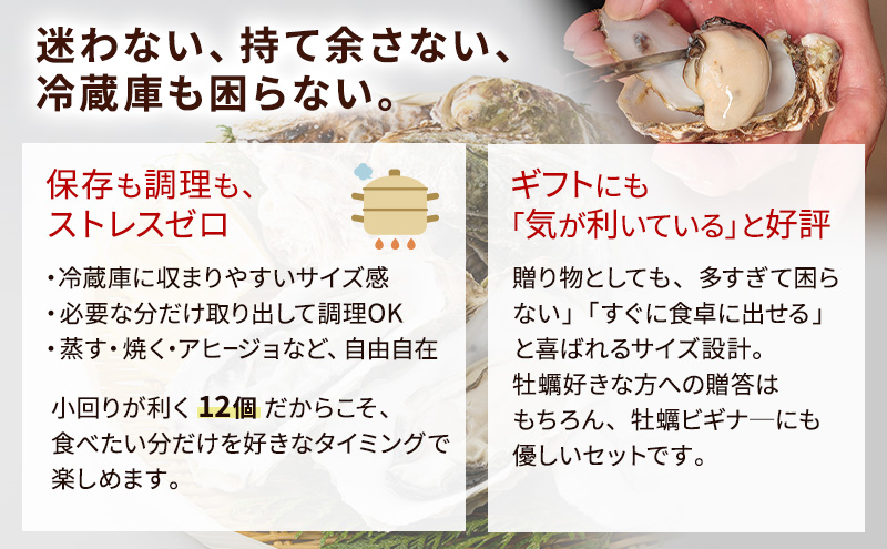 【 3ヵ月 定期便 】 北海道厚岸産 生食用 殻付カキ 3Lサイズ  12個　マルえもん 魚貝類 海の幸 海のミルク 海鮮 国産 北海道産 オイスター つまみ お酒 あて 肴 生牡蠣 メルマガ掲載商品1