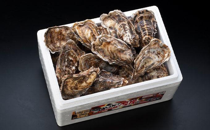 【 3ヵ月 定期便 】 北海道厚岸産 生食用 殻付カキ 3Lサイズ  12個　マルえもん 魚貝類 海の幸 海のミルク 海鮮 国産 北海道産 オイスター つまみ お酒 あて 肴 生牡蠣 メルマガ掲載商品1