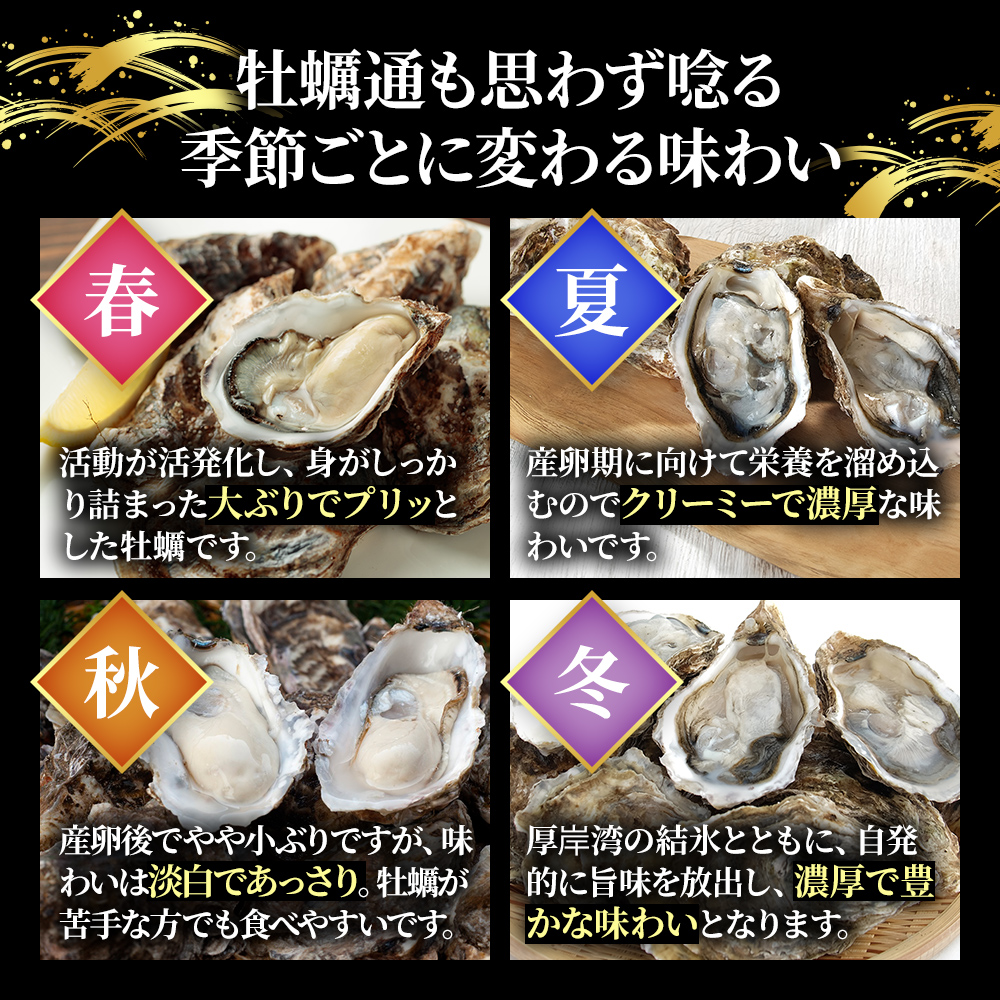 【 3ヵ月 定期便 】 北海道厚岸産 生食用 殻付カキ LLサイズ  12個　マルえもん 魚貝類 海の幸 海のミルク 海鮮 国産 北海道産 オイスター つまみ お酒 あて 肴 生牡蠣 メルマガ掲載商品1