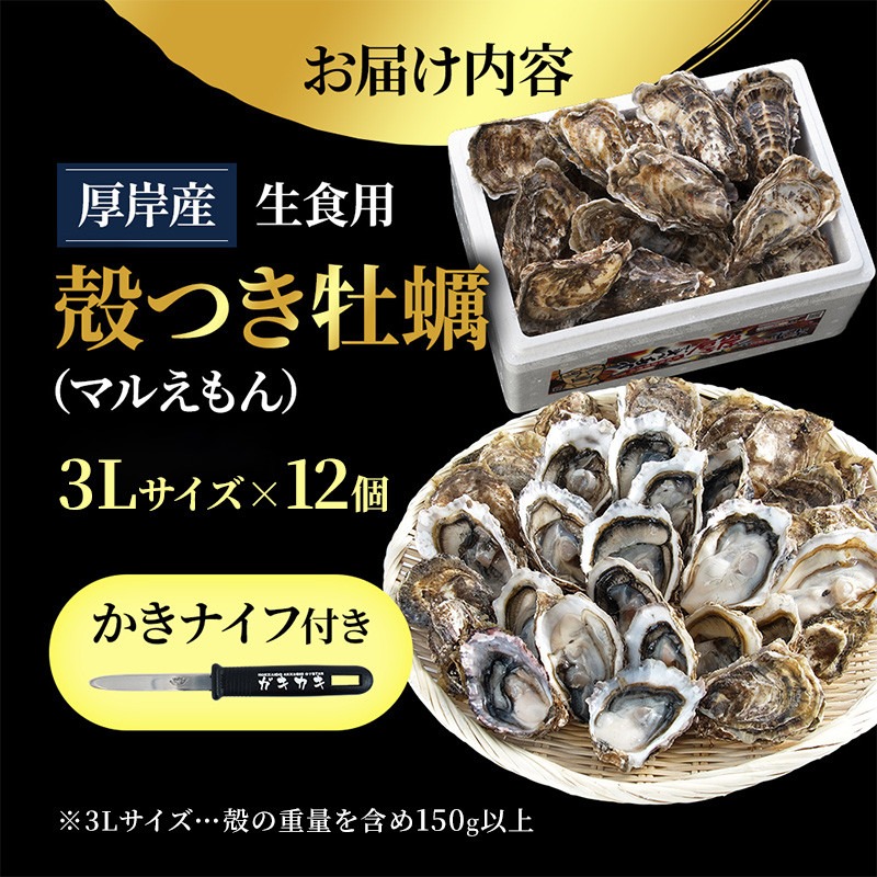 北海道厚岸産 生食用 殻付カキ 3Lサイズ  12個　マルえもん 魚貝類 海の幸 海のミルク 海鮮 国産 北海道産 オイスター つまみ お酒 あて 肴 生牡蠣 メルマガ掲載商品1