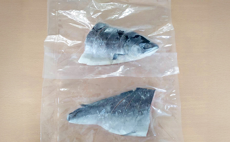 北海道産 塩時鮭 姿切身（半身） 約600g （300g×2パック）【ぎょれん道東食品】 [ 鮭 さけ 時鮭 切り身 焼き鮭 貴重 焼き魚 魚 魚介類 サケ ]