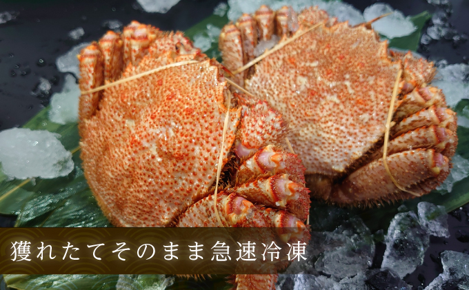 訳あり 3D冷凍 北海道産冷凍ボイル毛がに 500g～550g前後×2尾 [ 毛カニ 蟹 毛ガニ カニ かに ] 