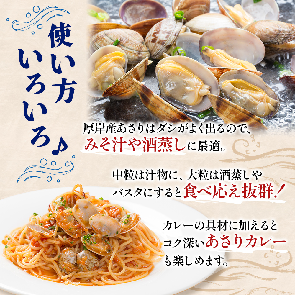 北海道 厚岸産 あさり 500g×2パック (合計1kg) 大中混合 アサリ 魚貝 海 美味しい 栄養 旨み 砂出し 水洗い 冷蔵 冷凍保存可能 便利