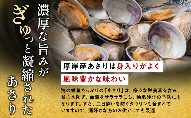 【11月発送】訳あり 北海道 厚岸産 砂出し済み 活あさり 500g×2 (合計1kg) 【厚岸海産】[ アサリ 魚貝 海鮮 大粒 美味しい 栄養 旨み 砂出し 水洗い 冷蔵 便利 ] 