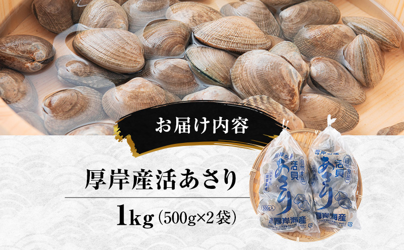 【11月発送】訳あり 北海道 厚岸産 砂出し済み 活あさり 500g×2 (合計1kg) 【厚岸海産】[ アサリ 魚貝 海鮮 大粒 美味しい 栄養 旨み 砂出し 水洗い 冷蔵 便利 ] 