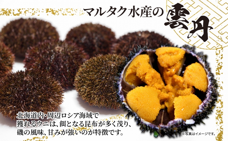 訳あり うに 納期指定・不在対応不可  ロシア産 バフンウニ 塩水パック 100g×1 【マルタク水産】[ 雲丹 ウニ 新鮮 海産物 冷蔵 濃厚 甘い ] 