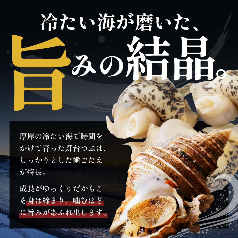 先行受付 北海道 厚岸産 殻灯台 つぶ 2kg（1kg×2パック） 魚介類 海の幸 海産物 海鮮 貝 つぶ貝 希少 下処理不要 刺身 塩茹で お酒のあて つまみ 国産 北海道産 