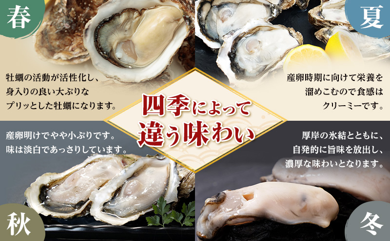 4月～8月 定期便 訳あり 牡蠣 北海道厚岸産 殻付カキ 約4kg (25から50個) カキナイフ付 生食 生牡蠣 貝付き牡蠣 貝 海鮮 魚介類 殻付き牡蠣 マルえもん