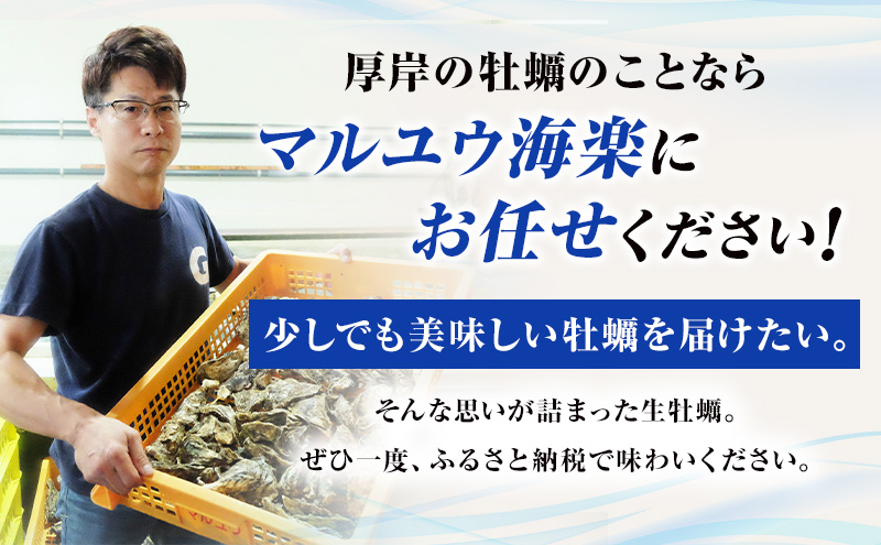 4月～8月 定期便 訳あり 牡蠣 北海道厚岸産 殻付カキ 約4kg (25から50個) カキナイフ付 生食 生牡蠣 貝付き牡蠣 貝 海鮮 魚介類 殻付き牡蠣 マルえもん