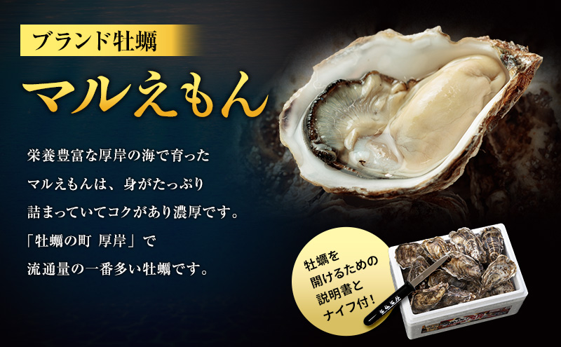 4月～8月 定期便 ハーフ 規格外 牡蠣 北海道厚岸産 殻付カキ 約2kg（11～25個）カキナイフ付 生食 魚貝類 生牡蠣 かき 生カキ カキフライ マルえもん いびつな形 四季によって違う味わい コクがあり濃厚
