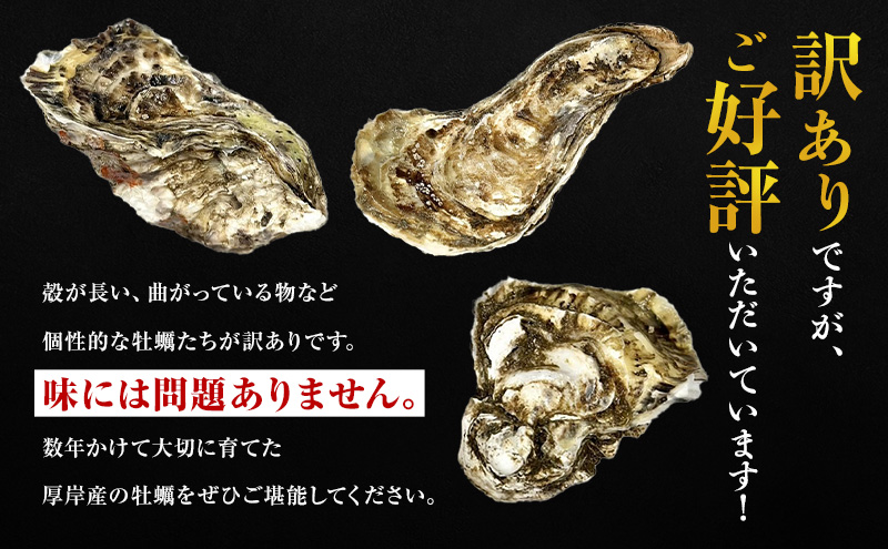 4月～8月 定期便 ハーフ 規格外 牡蠣 北海道厚岸産 殻付カキ 約2kg（11～25個）カキナイフ付 生食 魚貝類 生牡蠣 かき 生カキ カキフライ マルえもん いびつな形 四季によって違う味わい コクがあり濃厚