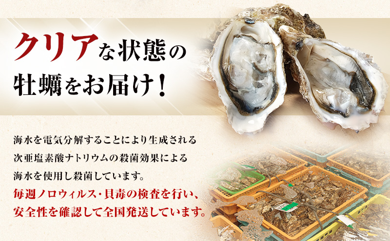 4月～8月 定期便 ハーフ 規格外 牡蠣 北海道厚岸産 殻付カキ 約2kg（11～25個）カキナイフ付 生食 魚貝類 生牡蠣 かき 生カキ カキフライ マルえもん いびつな形 四季によって違う味わい コクがあり濃厚