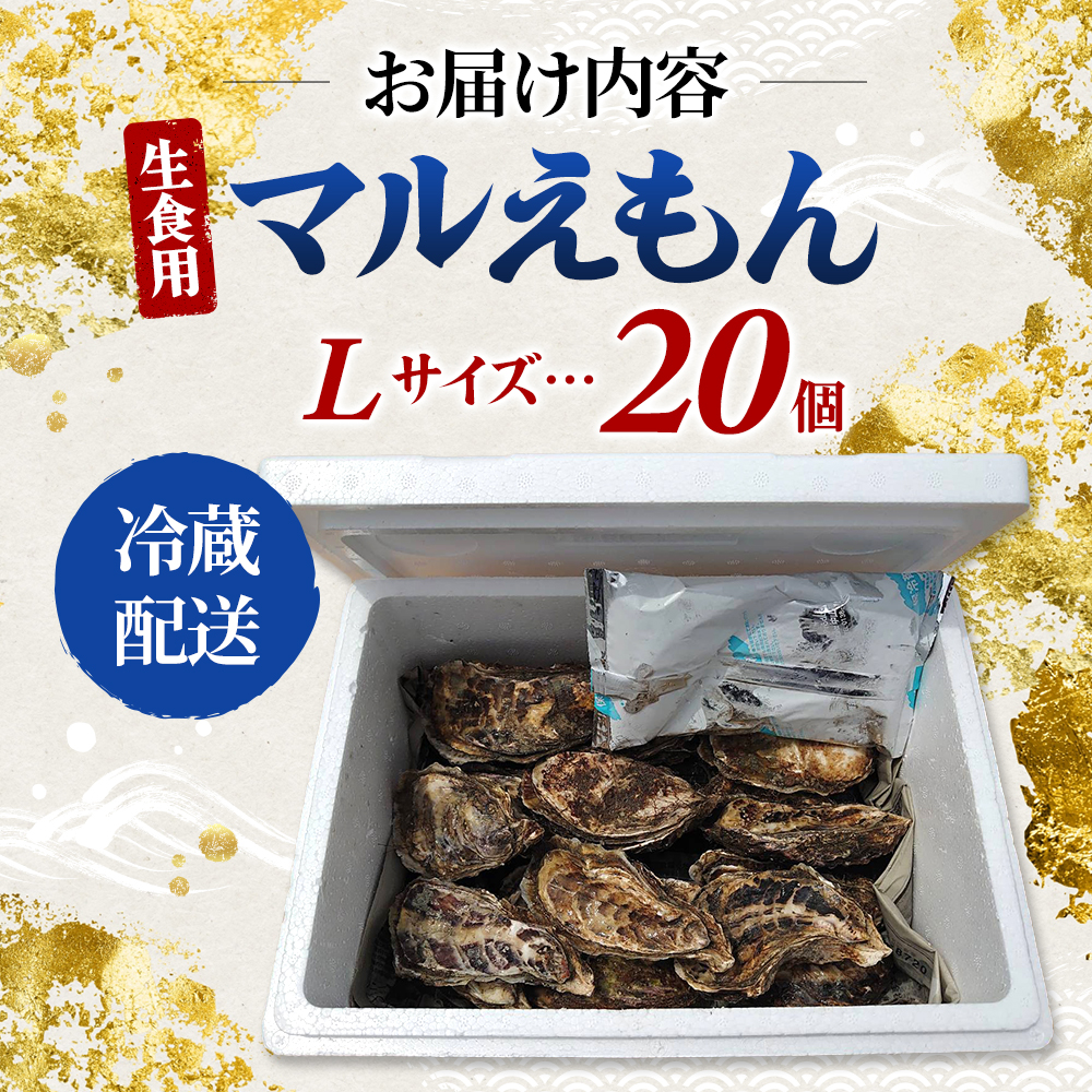 翌日配送 航空便 厚岸のブランド牡蠣 マルえもん Lサイズ 20個 [ 牡蠣 生食用 魚貝類 海鮮 海のミルク 国産 生食用殻付き牡蠣 まろやか クリーミー  牡蠣の酒蒸し 焼き牡蠣 マルえもん ]