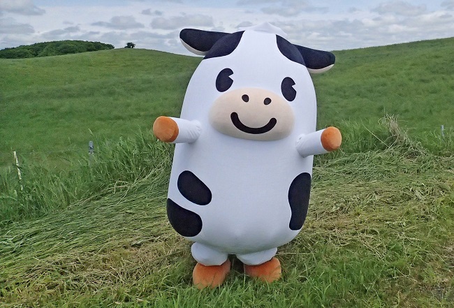 北海道 厚岸産 牛乳 あっけし極みるく65 詰め合わせ （計11.4L）【釧路太田農業協同組合】[ ミルク ノンホモジナイズ製法 濃厚 農協 北海道産ファミリー 朝食 ]