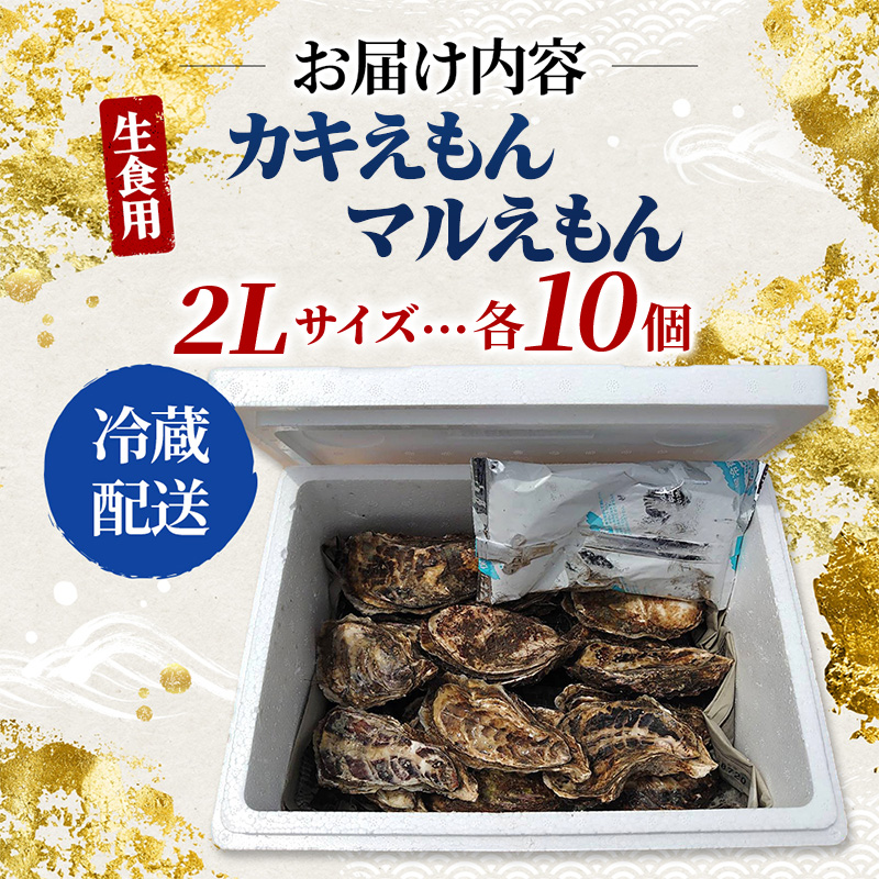 牡蠣 厚岸のブランド牡蠣 食べ比べ 生食用 カキえもん マルえもん 2Lサイズ 各10個  [ 魚貝類 海鮮 海のミルク 国産 生食用殻付き牡蠣 まろやか クリーミー 食べやすい品種 海の香り 牡蠣の酒蒸し 焼き牡蠣  ]