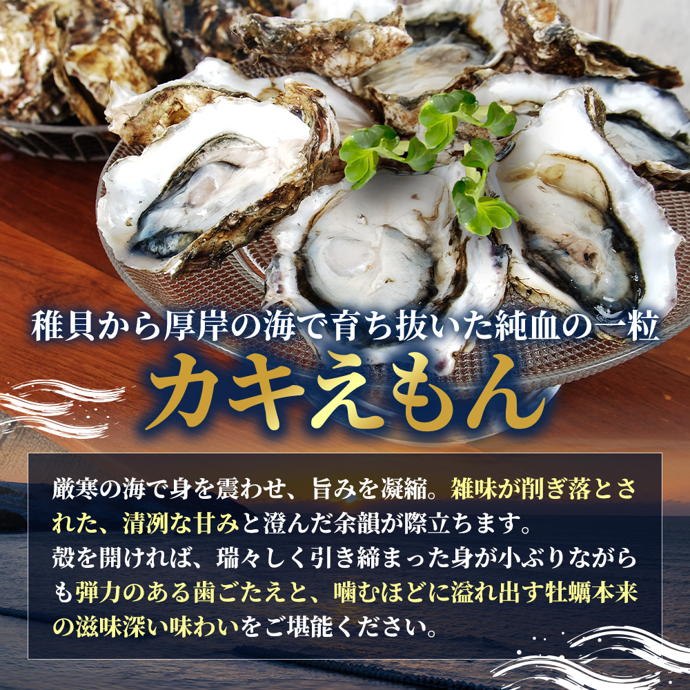 北海道 厚岸産 ブランド 殻付牡蠣 食べ比べ 弁天牡蠣 A3サイズ カキえもんLL サイズ 各6個 生食用 [ 牡蠣 カキ かき 生食 生食用 生牡蠣 食べ比べ 魚貝類 ブランド牡蠣 ]