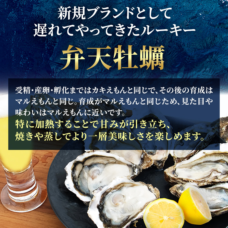 北海道 厚岸産 ブランド 殻付牡蠣 食べ比べ 弁天牡蠣 A3サイズ カキえもんLL サイズ 各12個 生食用 [ 牡蠣 カキ かき 生食 生食用 生牡蠣 食べ比べ 魚貝類 ブランド牡蠣 ]