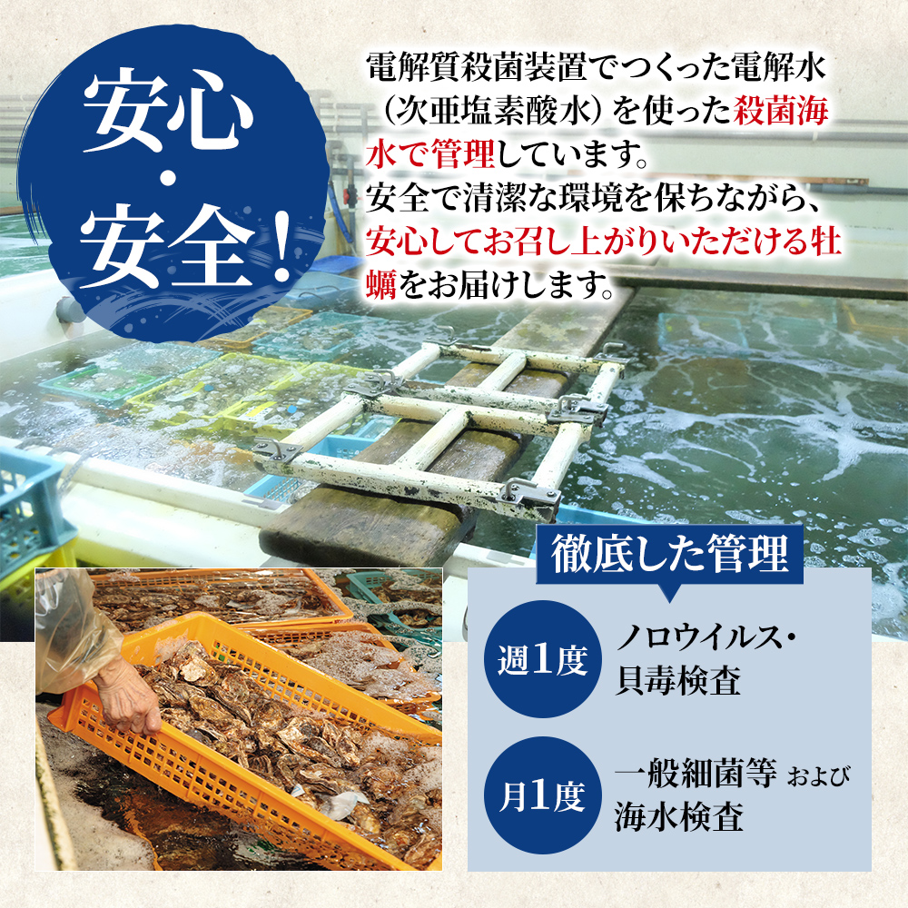 北海道 厚岸産 ブランド 殻付牡蠣 食べ比べ 弁天牡蠣 A3サイズ カキえもんLL サイズ 各12個 生食用 [ 牡蠣 カキ かき 生食 生食用 生牡蠣 食べ比べ 魚貝類 ブランド牡蠣 ]