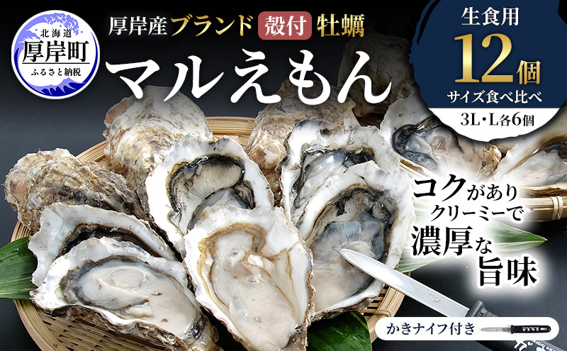 厚岸産 ブランド 殻付カキ マルえもん 生食用 サイズ食べ比べ 12個 (3L・L各6個)[ 魚貝類 生牡蠣 かき 牡蠣 カキ 生ガキ 食べ比べ ]