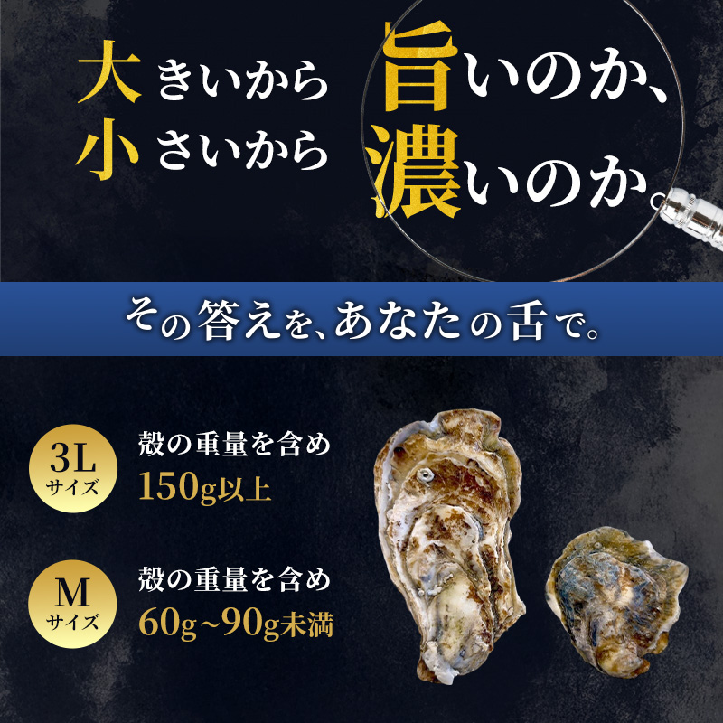 厚岸産 ブランド 殻付カキ マルえもん 生食用 サイズ食べ比べ 12個 (3L・M各6個)[ 魚貝類 生牡蠣 かき 牡蠣 カキ 生ガキ 食べ比べ ]