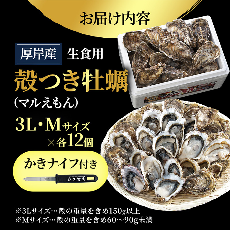 厚岸産 ブランド 殻付カキ マルえもん 生食用 サイズ食べ比べ 24個 (3L・M各12個)[ 魚貝類 生牡蠣 かき 牡蠣 カキ 生ガキ 食べ比べ ]