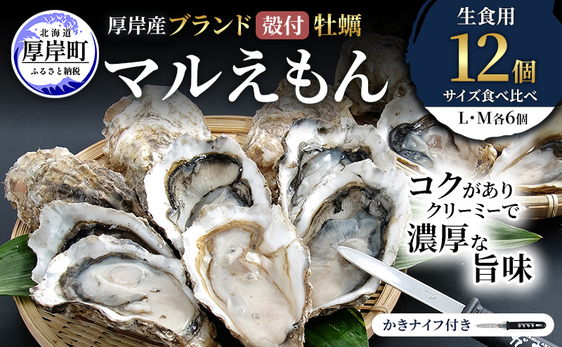 厚岸産 ブランド 殻付カキ マルえもん 生食用 サイズ食べ比べ 12個 (L・M各6個)[ 魚貝類 生牡蠣 かき 牡蠣 カキ 生ガキ 食べ比べ ]