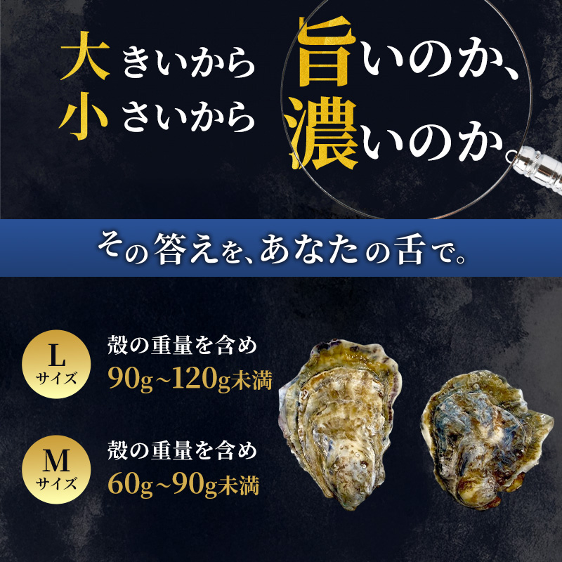 厚岸産 ブランド 殻付カキ マルえもん 生食用 サイズ食べ比べ 12個 (L・M各6個)[ 魚貝類 生牡蠣 かき 牡蠣 カキ 生ガキ 食べ比べ ]