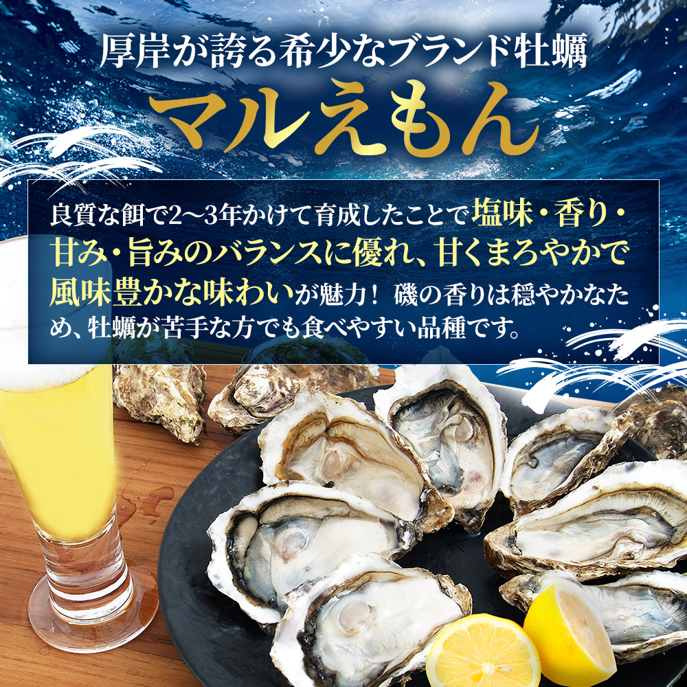 厚岸産 ブランド 殻付カキ マルえもん 生食用 サイズ食べ比べ 12個 (L・M各6個)[ 魚貝類 生牡蠣 かき 牡蠣 カキ 生ガキ 食べ比べ ]
