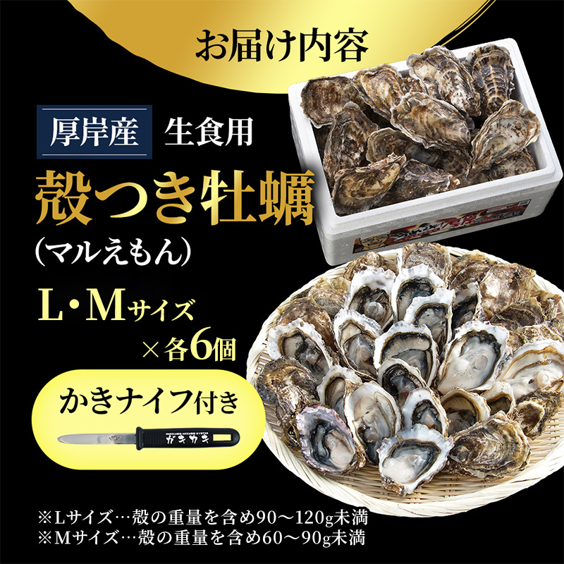 厚岸産 ブランド 殻付カキ マルえもん 生食用 サイズ食べ比べ 12個 (L・M各6個)[ 魚貝類 生牡蠣 かき 牡蠣 カキ 生ガキ 食べ比べ ]