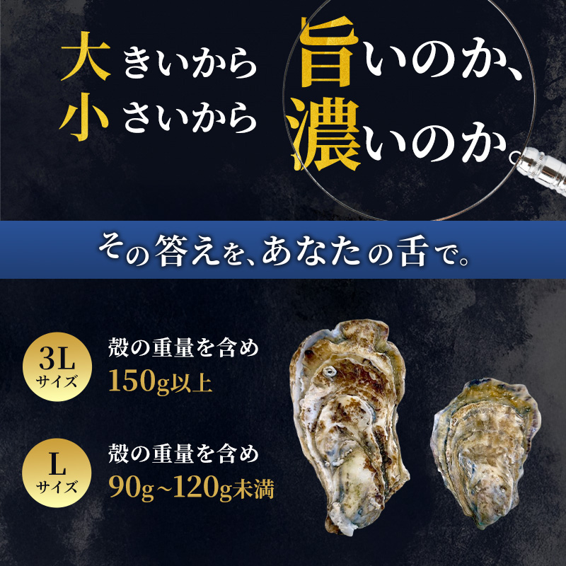 【 3ヵ月 定期便 】 厚岸産 ブランド 殻付カキ マルえもん 生食用 サイズ食べ比べ 12個 (3L・L各6個)[ 魚貝類 生牡蠣 かき 牡蠣 カキ 生ガキ 食べ比べ ]