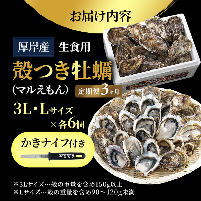 【 3ヵ月 定期便 】 厚岸産 ブランド 殻付カキ マルえもん 生食用 サイズ食べ比べ 12個 (3L・L各6個)[ 魚貝類 生牡蠣 かき 牡蠣 カキ 生ガキ 食べ比べ ]