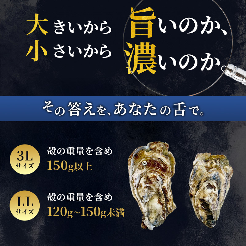 【 3ヵ月 定期便 】 厚岸産 ブランド 殻付カキ マルえもん 生食用 サイズ食べ比べ 24個 (3L・LL各12個)[ 魚貝類 生牡蠣 かき 牡蠣 カキ 生ガキ 食べ比べ ]