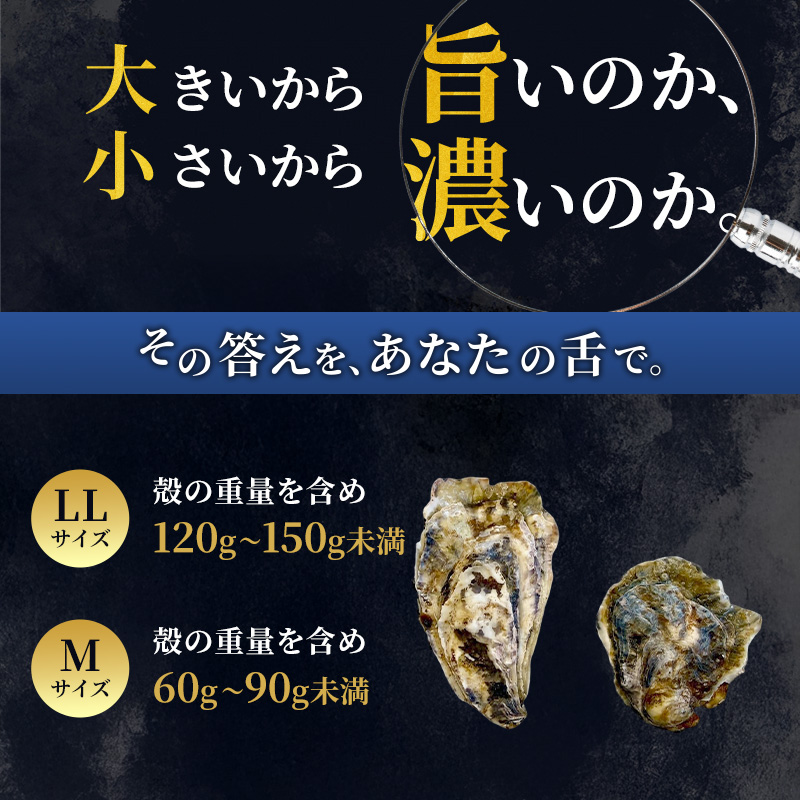 【 3ヵ月 定期便 】 厚岸産 ブランド 殻付カキ マルえもん 生食用 サイズ食べ比べ 12個 (LL・M各6個)[ 魚貝類 生牡蠣 かき 牡蠣 カキ 生ガキ 食べ比べ ]