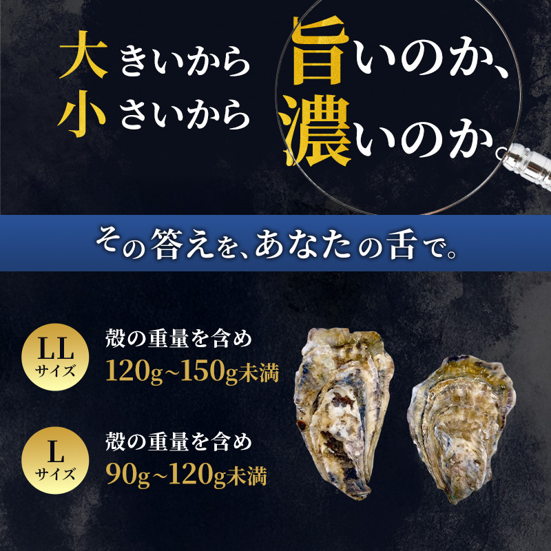 【 3ヵ月 定期便 】 厚岸産 ブランド 殻付カキ マルえもん 生食用 サイズ食べ比べ 24個 (LL・L各12個)[ 魚貝類 生牡蠣 かき 牡蠣 カキ 生ガキ 食べ比べ ]