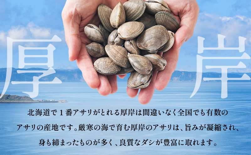 訳あり 北海道 厚岸産 砂出し済み 活あさり 1kg×2 (合計2kg) 【厚岸海産】[ アサリ 魚貝 海鮮 大粒 美味しい 栄養 旨み 砂出し 水洗い 冷蔵 便利 ]