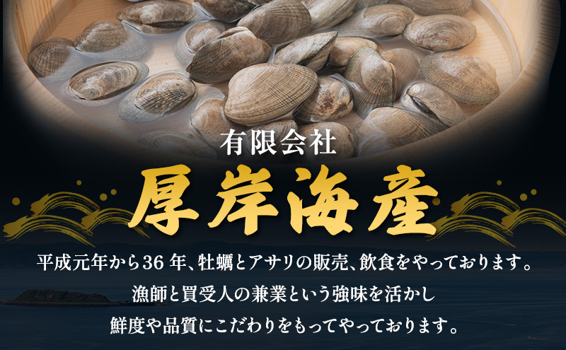 訳あり 北海道 厚岸産 砂出し済み 活あさり 1kg×2 (合計2kg) 【厚岸海産】[ アサリ 魚貝 海鮮 大粒 美味しい 栄養 旨み 砂出し 水洗い 冷蔵 便利 ]