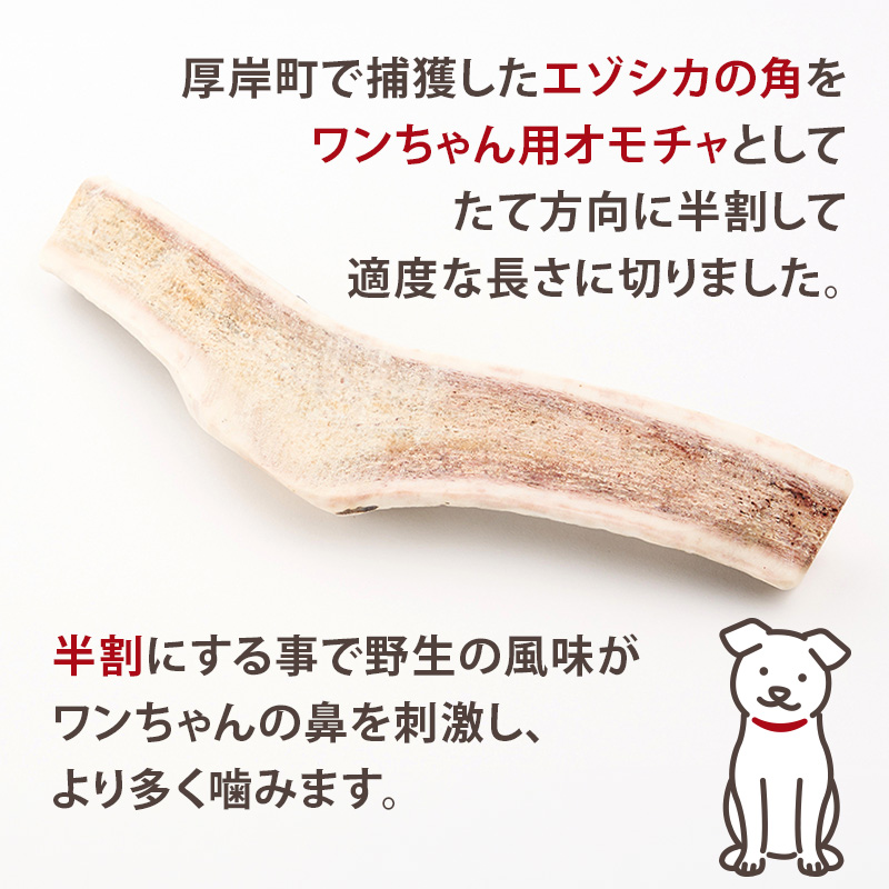 厚岸町産 わんちゃん用 エゾ鹿の角 半割1本 20cm 中型～大型犬用 【deer food】[犬 おもちゃ 犬用ガム ペット用品 鹿角 長持ち デンタルケア ペット ] 
