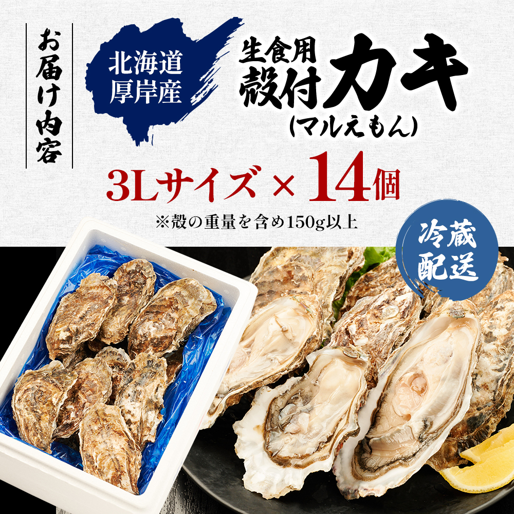 北海道 厚岸産 ブランド牡蠣 マルえもん 殻付き 牡蠣 3Lサイズ 14個 【光輝】 [ 魚貝類 生牡蠣 海鮮 海の幸 生食用牡蠣 生食用 生食用殻付き牡蠣 濃厚 甘み  オイスター ]  
