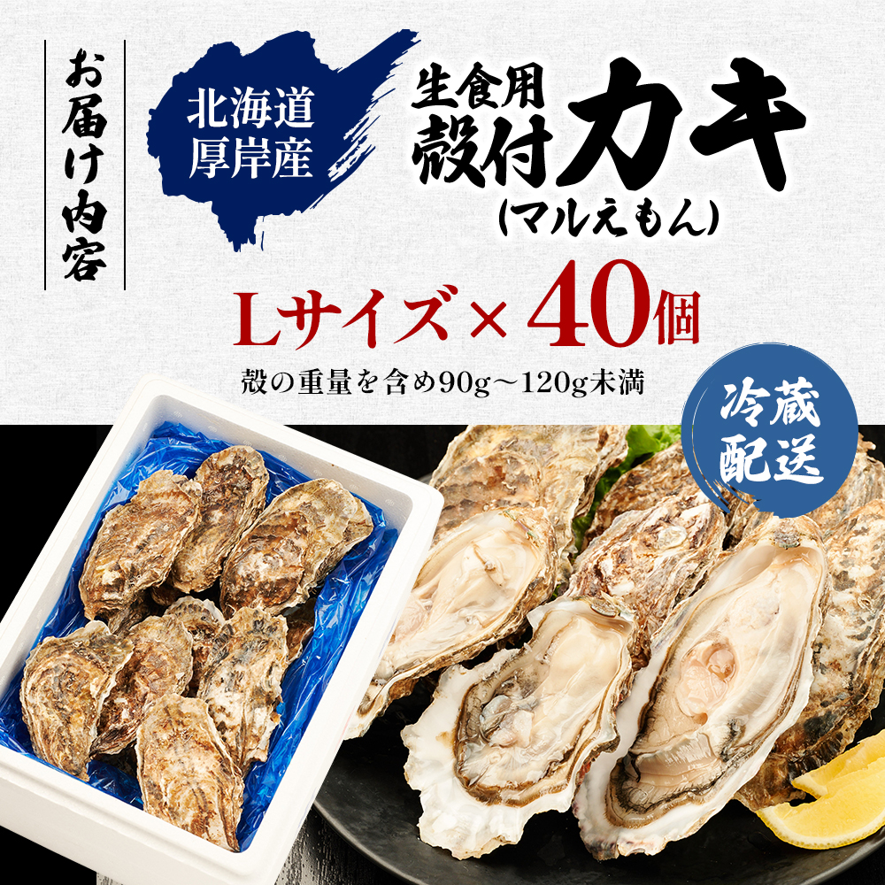 北海道 厚岸産 ブランド牡蠣 マルえもん 殻付き 牡蠣 Lサイズ 40個 【光輝】 [ 魚貝類 生牡蠣 海鮮 海の幸 生食用牡蠣 生食用 生食用殻付き牡蠣 濃厚 甘み  オイスター ]  