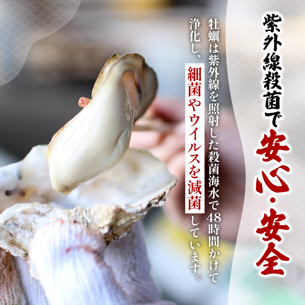 【お中元】北海道 厚岸産 ブランド牡蠣 マルえもん 殻付き 牡蠣 LLサイズ 20個 【光輝】 [ 魚貝類 生牡蠣 海鮮 海の幸 生食用牡蠣 生食用 生食用殻付き牡蠣 濃厚 甘み  オイスター ]  