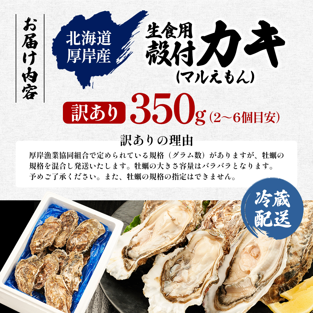 訳あり 北海道 厚岸産  殻付き 牡蠣 350g 【光輝】 [ 魚貝類 生牡蠣 海鮮 海の幸 生食用牡蠣 生食用 生食用殻付き牡蠣 濃厚 甘み  オイスター ]  