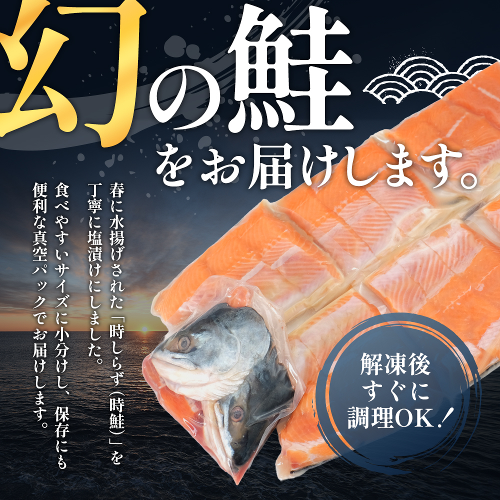 鮭 北海道産 厚岸産 甘塩 時しらず 切身 1.7kg  [ 時鮭 時サケ さけ 焼き魚 朝食 魚 ]