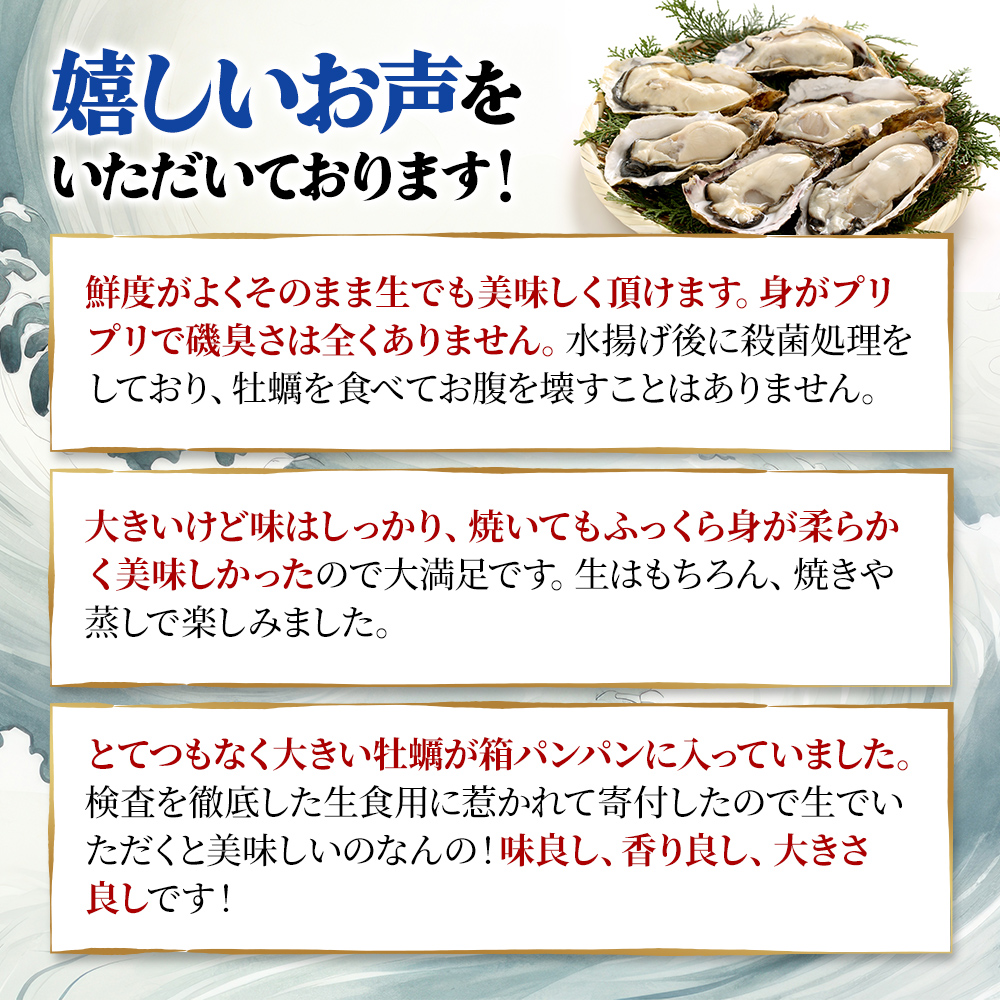 牡蠣 厚岸のブランド牡蠣 マルえもん 3Lサイズ 6個 生食用 魚貝類 海鮮 海のミルク 国産 生食用殻付き牡蠣 まろやか クリーミー 食べやすい品種 海の香り 牡蠣の酒蒸し 焼き牡蠣 マルえもん