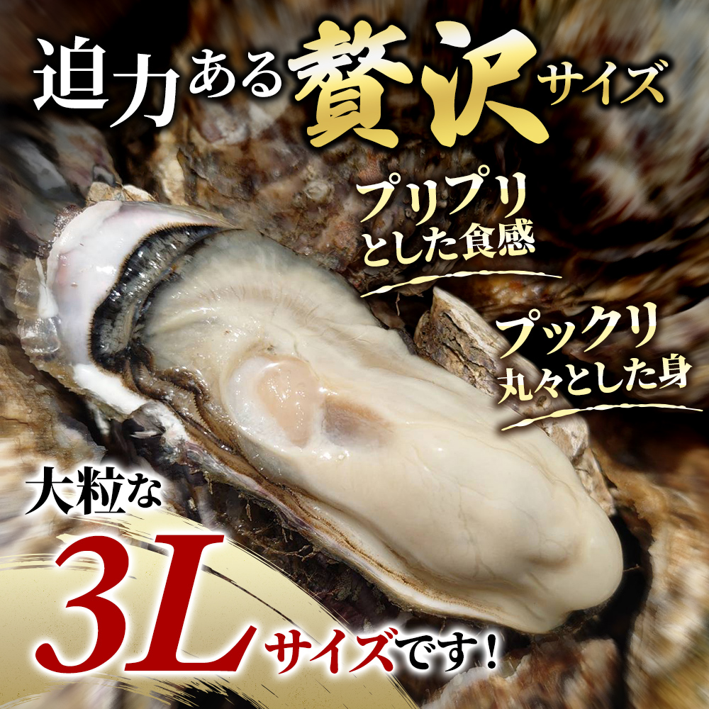 牡蠣 厚岸のブランド牡蠣 マルえもん 3Lサイズ 6個 生食用 魚貝類 海鮮 海のミルク 国産 生食用殻付き牡蠣 まろやか クリーミー 食べやすい品種 海の香り 牡蠣の酒蒸し 焼き牡蠣 マルえもん