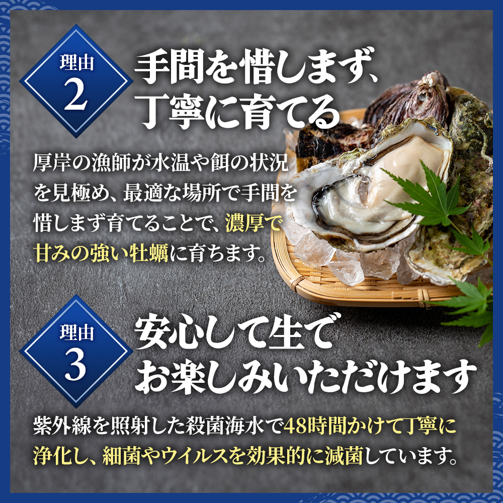 牡蠣 厚岸のブランド牡蠣 マルえもん 3Lサイズ 6個 生食用 魚貝類 海鮮 海のミルク 国産 生食用殻付き牡蠣 まろやか クリーミー 食べやすい品種 海の香り 牡蠣の酒蒸し 焼き牡蠣 マルえもん