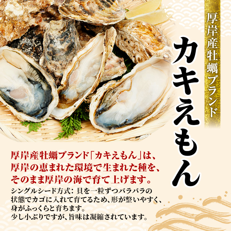 牡蠣 厚岸のブランド牡蠣 生食用 カキえもん Lサイズ 10個  [ 魚貝類 海鮮 海のミルク 国産 生食用殻付き牡蠣 まろやか クリーミー 食べやすい品種 海の香り 牡蠣の酒蒸し 焼き牡蠣  ]