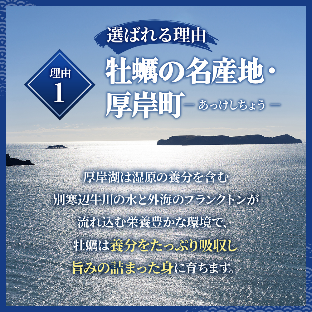 牡蠣 厚岸のブランド牡蠣 生食用 カキえもん Mサイズ 6個  [ 魚貝類 海鮮 海のミルク 国産 生食用殻付き牡蠣 まろやか クリーミー 食べやすい品種 海の香り 牡蠣の酒蒸し 焼き牡蠣  ]