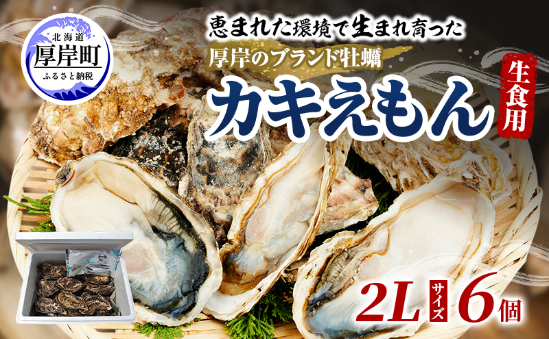 牡蠣 厚岸のブランド牡蠣 生食用 カキえもん 2Lサイズ 6個  [ 魚貝類 海鮮 海のミルク 国産 生食用殻付き牡蠣 まろやか クリーミー 食べやすい品種 海の香り 牡蠣の酒蒸し 焼き牡蠣  ]