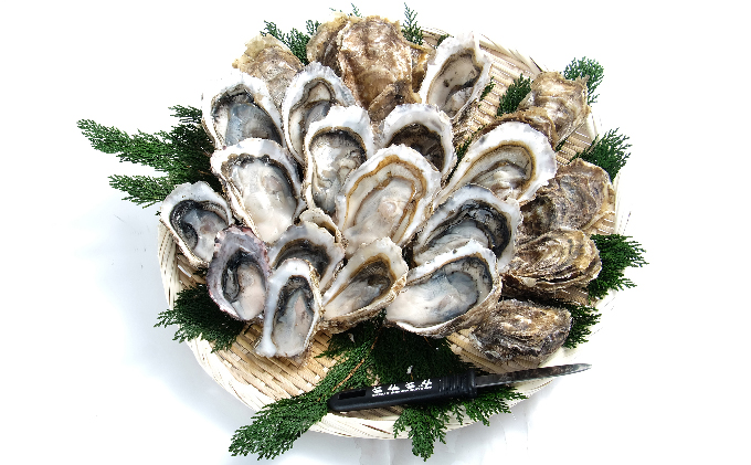 純厚岸産カキの復活 カキえもんスペシャル 24個 生食用 牡蠣 北海道 カキ 厚岸で一番小さい牡蠣 魚貝類 生牡蠣 かき メルマガ掲載商品2 